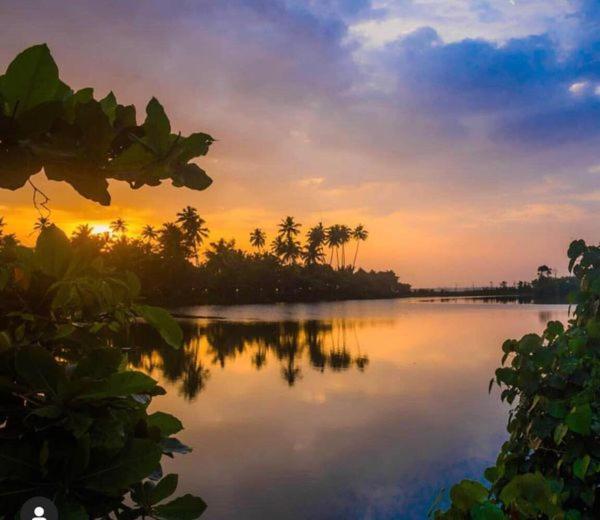 Turtle Paradise Villa Kosgoda Eksteriør bilde