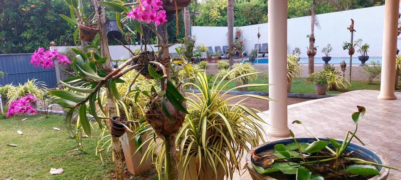 Turtle Paradise Villa Kosgoda Eksteriør bilde